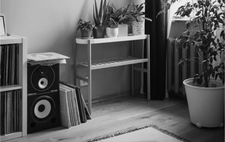 zx9 speaker in a home